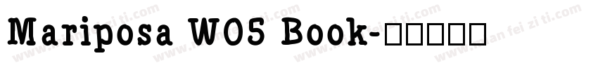 Mariposa W05 Book字体转换